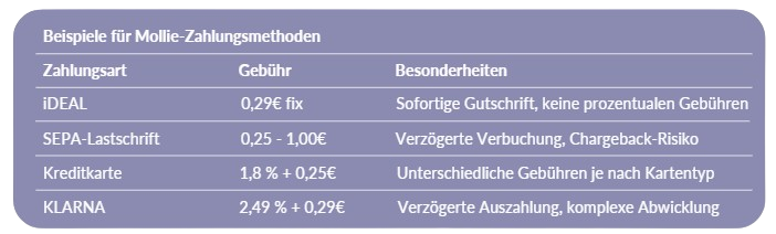 Schnittstelle - Mollie